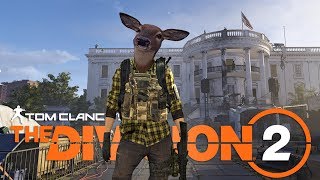 Показалось, что в Division 2 нет багов :D (тестируем бету)