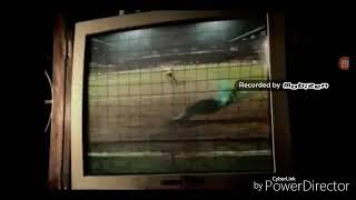 GATO CELABRA UN GOOOOOOOOOOOOOOOL