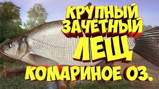 комариное Крупный Лещ русская рыбалка 4 #рр4 Алексей Майоров