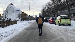 Fjellreven Gul - En boktrailer