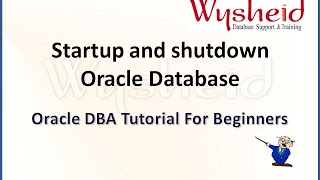 Oracle Database Shutdown and Start up |  Oracle startup and shutdown | Oracle DBA Videos