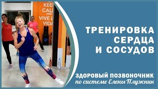 Тренировка сердца и сосудов.Что говорят ученики | Елена Плужник