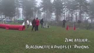 Pouicky - 1er stage de sa life