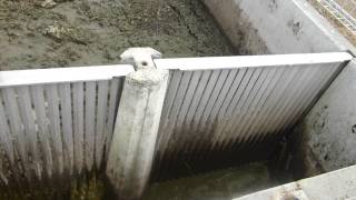 Vibe Panel: Effluent Vibrating Weeping-Wall