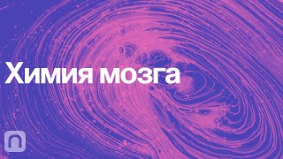 Химия мозга – курс Вячеслава Дубынина 