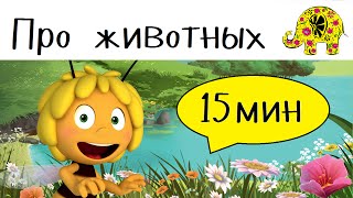 Детские загадки про животных. 17 мультиков загадок с ответами!