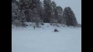 Dingo T125.Чингали