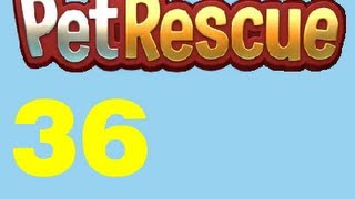Pet Rescue saga Livello Level 36