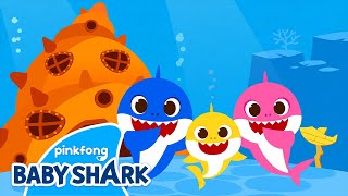Shark House | Baby Shark Dance and Song | Baby Shark Sing Along 