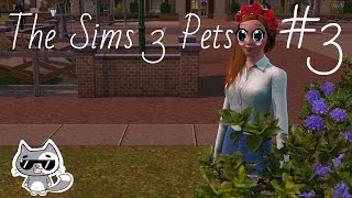 The sims 3 pets #3/Летсплей симс 3 питомцы/Цветочки ;3