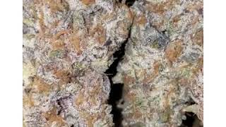 Jungle Boys Frosty Nuggets