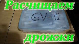 Чистим дрожжи ( по мотивам Inquisitor Home Brewing)