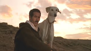 Prince of Sloughis