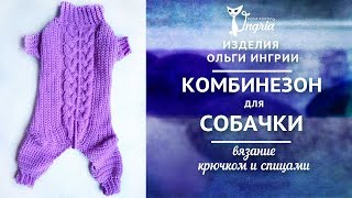 ๏̯͡๏ Одежда для чихуахуа ๏̯͡๏ Вязаный комбинезон для собаки
