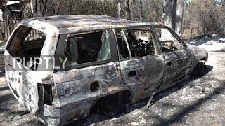 Greece: Wildfires leave behind trail of destruction on island of Evia