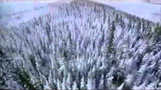 BBC Planet Earth wild life - K-Pax Grand Central