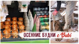 ЧТО НОВОГО В ФИКС ПРАЙС РЕМОНТ В ГАРАЖЕ