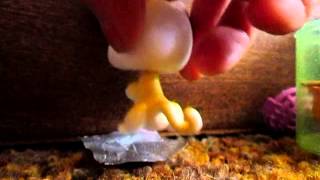 Lps город будущего 1 сезон 3 серия