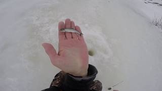 Ловля уклейки зимой, уклейка зимой видео rybachil.ru
