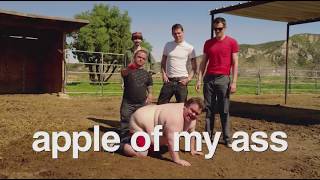 Man is very similar to a pig - Человек очень похож на свинью