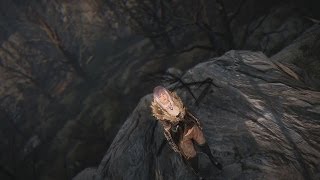 Black Desert Online Undead Forest Combat System High Level Gameplay UHD