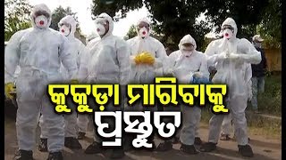 Bird Flu In Odisha-Culling Process Begins At OUAT Farm