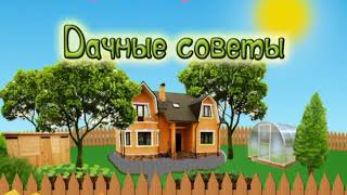 Дачные советы с Галиной Старосельцевой Январь 11-01-2018