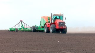 РБК.НОВОСТИ/11.05.2016/Рапсовые технологии