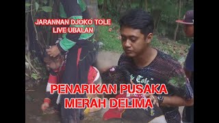 PENARIKAN MERAH DELIMA DAN PUSAKA SAKTI DI SENDANG PENGANTIN UBALAN KEDIRI LIVE JARANAN DJOKO TOLE