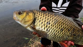 Dieser Fisch entscheidet alles - 180€ Rute für den Gewinner!