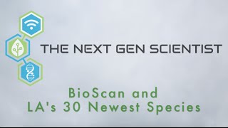 BioSCAN and Los Angeles's 30 Newest Species