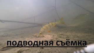 Подводная съемка рыбалки. На зимнюю удочку летом. Мормышка.