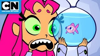 Teen Titans GO! | Starfire’s New Pet  | Cartoon Network
