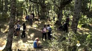 Fisica o Chimica - 6x06 SPA sub ITA