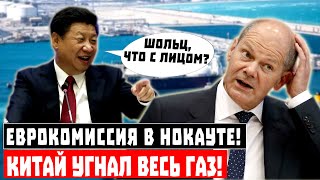 Пока Шольц спал: Китай угнал ВЕСЬ газ!