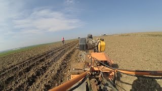 Посадка картошки мотоблоком || Окучником нарезаем и зарываем