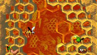 Donkey Kong Country 2 GBA Boss 4 : King Zing (no damage) HD