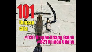 Cara  Pancing Udang Galah ! Umpan Matsumoto  039