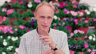 Поздравления от Олега Гадецкого с женским днем 8 Марта