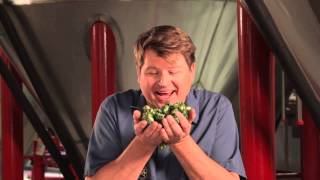 The Classic Smelling Of The Hops
