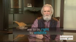 Animal Welfare is Everyone's Concern - Conservation Matters