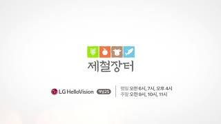 헬로tv 커머스몰 제철장터 | LG헬로비전