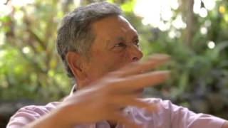 RAPA NUI la historia escondida de la isla de pascua