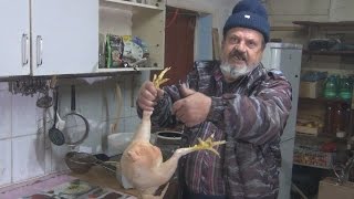 Бройлер 5 кг, без гири в жопе