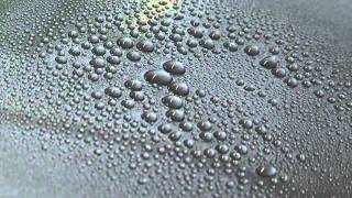 Paul Dalton shows how & why to wax a car