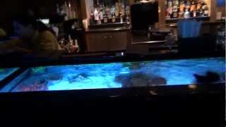 № 2088 АМЕРИКА Обед с акулами - Dining with Sharks Sea World FLorida 06/03/2012