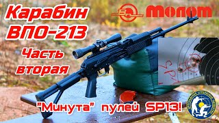 ВПО-213-20 366ТКМ - "Минутный Вепрь"! (Vepr VPO-213-20. First time 1 MOA at 100 meters!)