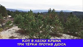 КОП В ЛЕСАХ КРЫМА! ТРИ ТЁРКИ VS ДЕУСА