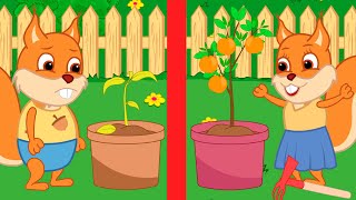 Famille d'Écureuil - Concours De Jardinier Animé 2022 en Français