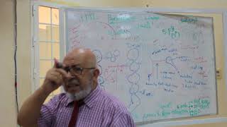 Y3-ModA:Dr.Mustafa head and neck female part 2